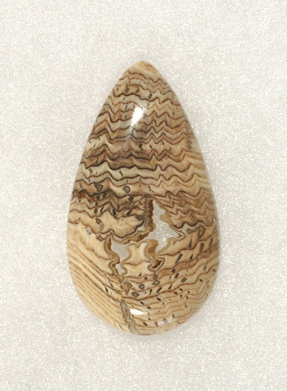 Hells Canyon Petrified Wood Cabochon, Handmade Designer Cabochons by MagicStones
