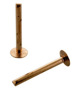 Items similar to Rivets, Brads, Copper, Nail Head, 1/2" 50 for