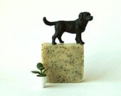 Peppermint Poppyseed Soap - Vegan Organic Cold Process Soap - Handmade Soap - Bar Soap