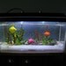 Saltwater Aquarium in 1:12 scale - custom order