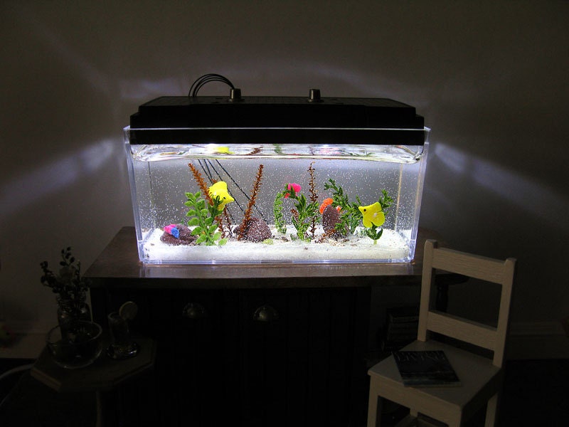 Saltwater Aquarium in 1:12 scale - custom order