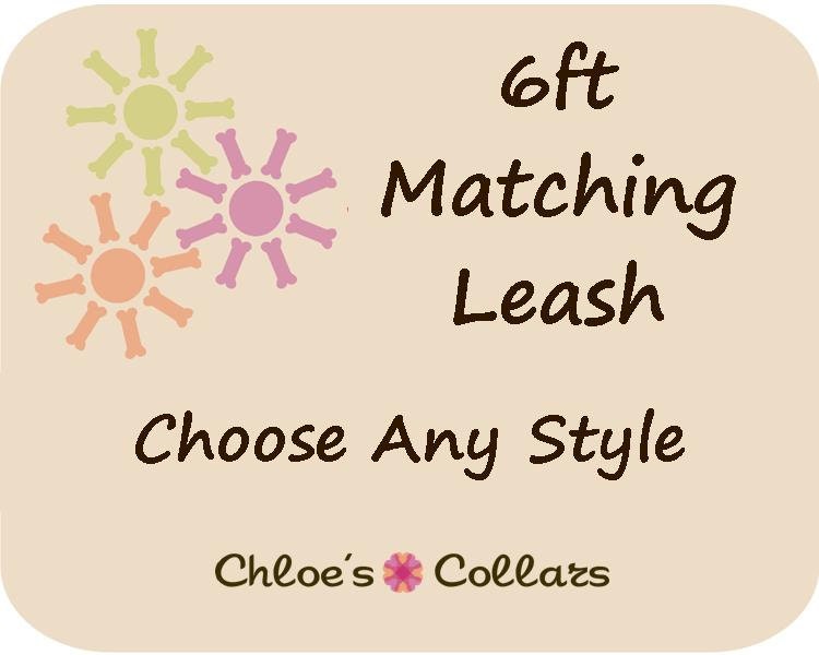 6ft Dog Leash- Choose Your Matching Style