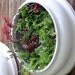 Upcycled and Elegant Round Living Wall Succulent Planters