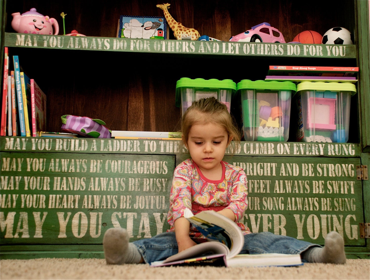 Furniture storage bookcase forever young lyrics