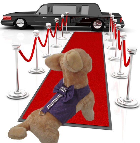 Red Carpet Diva - Dog Harness Vest, Purple Sparkle Fabric with Rhinestone Trim Down the Back and on Bow Accent