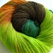 Super wash Merino Bamboo Nylon Yarn Hand Dyed (APA30)