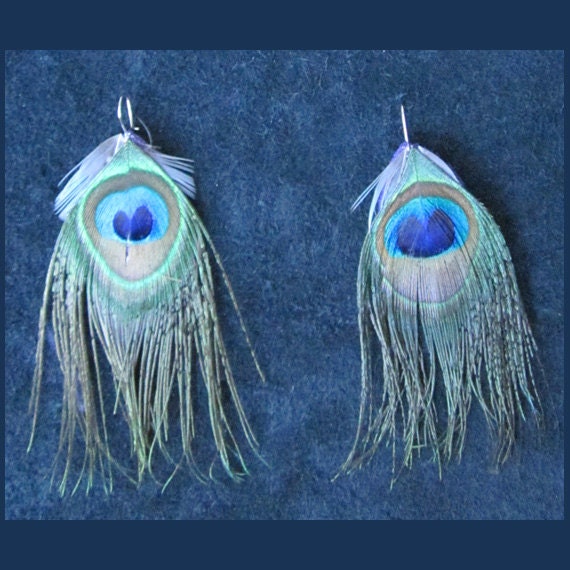 Peacock Eye Feather Earrings 6