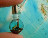 The Labrador Sea sample
