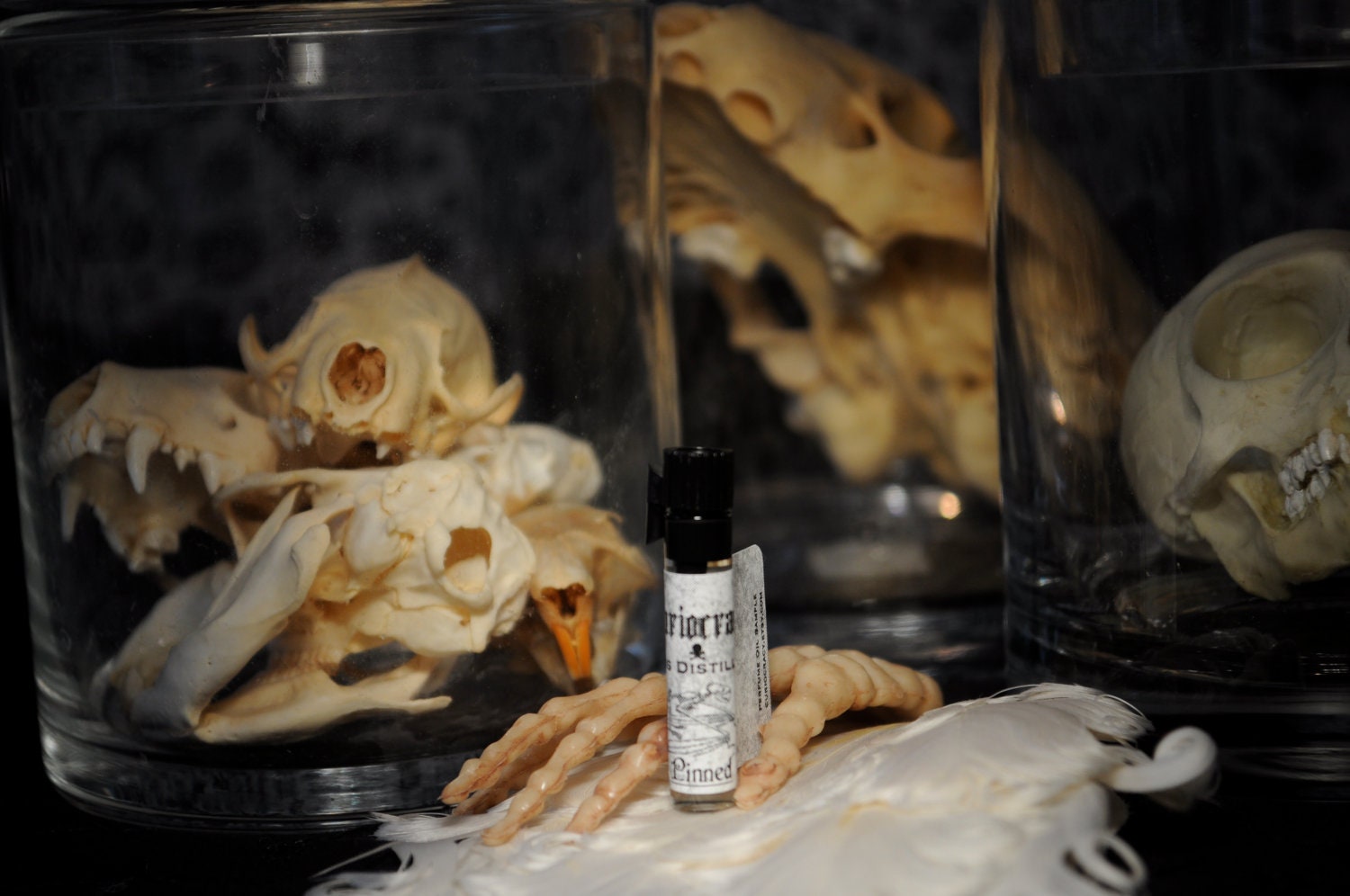 Pinned Wet Earth Lily Lemon Perfume Oil Sample Vial