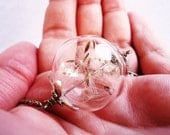 Real Dandelion Seed Glass Orb Necklace In Silver Large Orb