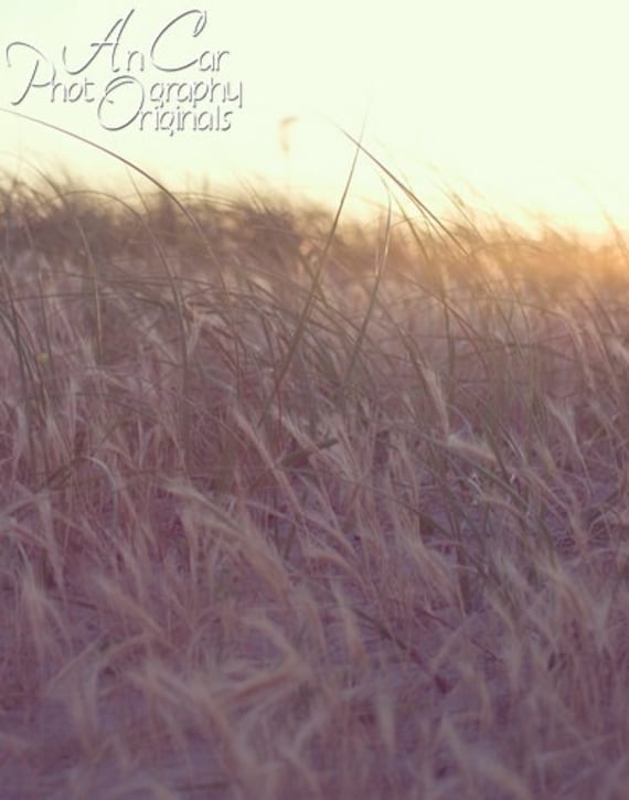 Graceful Sunset 11x14 sky sunset soft dreamy grass