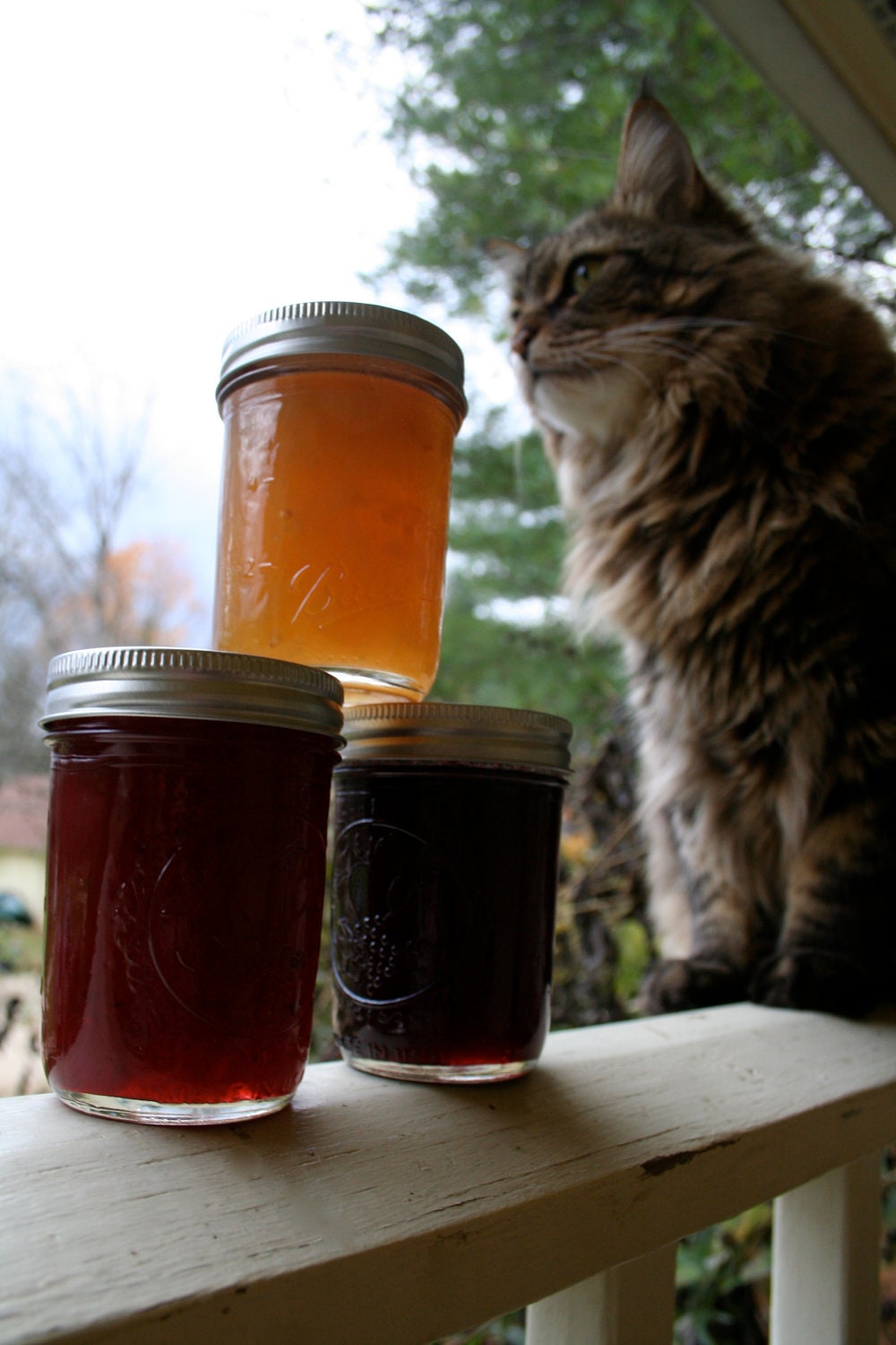 Fruit Trio: Cranberry Apple Preserves, Concord Grape Jelly & Pear Ginger Jam