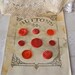 Vintage Red Bakelite and Lucite Buttons