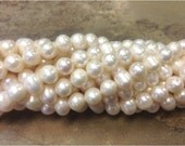 Cultured Freshwater Pearl Beads 9-10 mm 15.5 Inch Strand - White (w5659g)