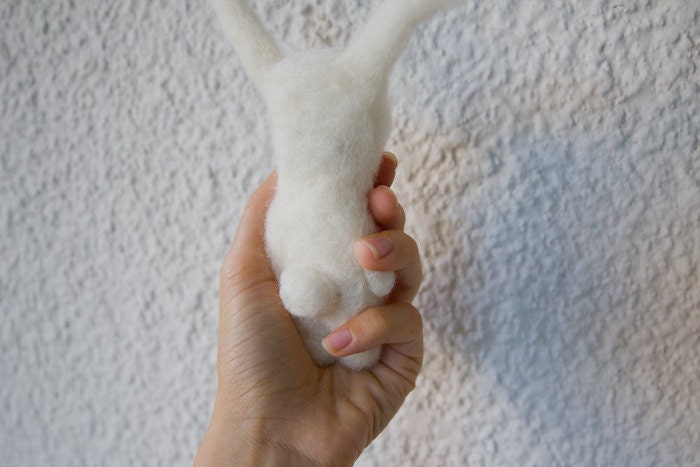 little hare
