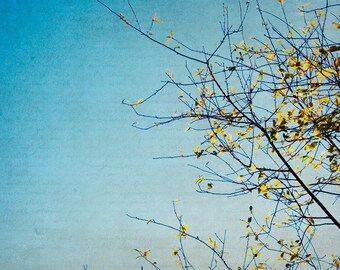 Turquoise Photography - teal home decor, aqua, turquoise, yellow and turquoise decor - "Glory Days" - 8x8, 8x10, 8x12 Fine Art Photograph