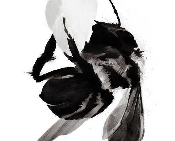 Honey Bee : Featured In West Elm - Charcoal Drawing - Nature Art, 8x10 Archival Print