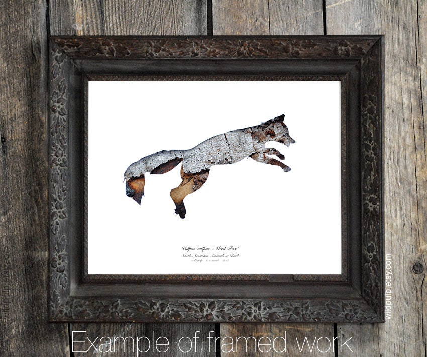 Fox Silhouette In Bark : Woodland Animal - Eco Decor, Nature Photography - Rustic Cabin, Lodge, Home, Nursery Art, Gift Idea