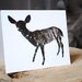 Deer Card - Eco Friendly, Recycled : Doe Silhouette In Bark, Wild Pulp Stationery - Animal Art, Nature Photography