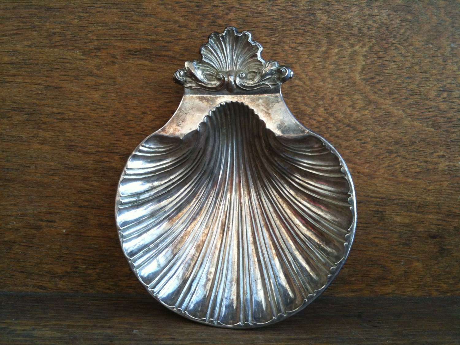 Vintage English Sea Shell Dish