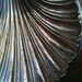Vintage English Sea Shell Dish