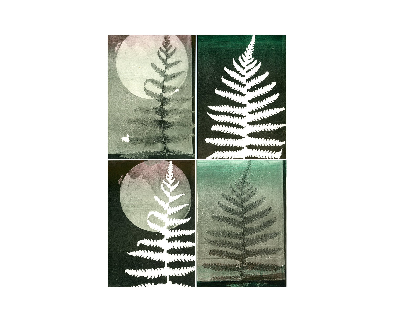 SALE CIJ: blank note card set of 4, original botanical monoprints