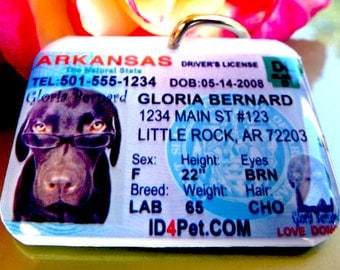Dog driver license Arkansas Driver License Identification Tag by ID4Pet