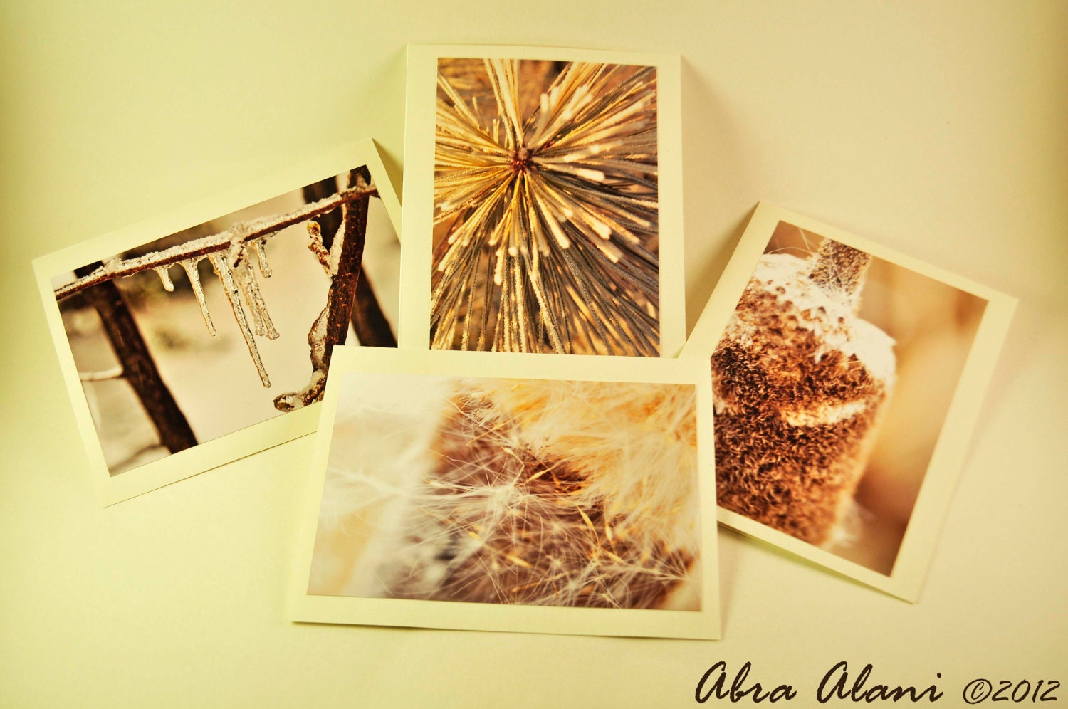 Fine Art Photography - Remembering Winter - Winter Quartet - set of four - blank inside