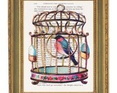 Birdcage - Print on Alice in Wonderland Book-  6x9
