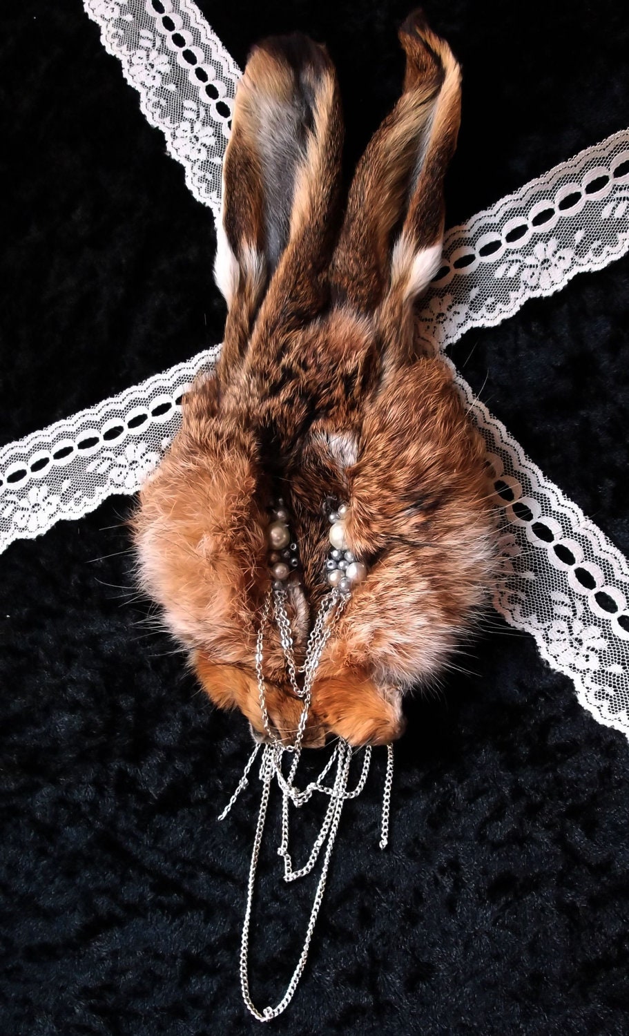 CRUELTY FREE Real Bunny Hare Rabbit Face Taxidermy Couture Oddity Brooch Pin i