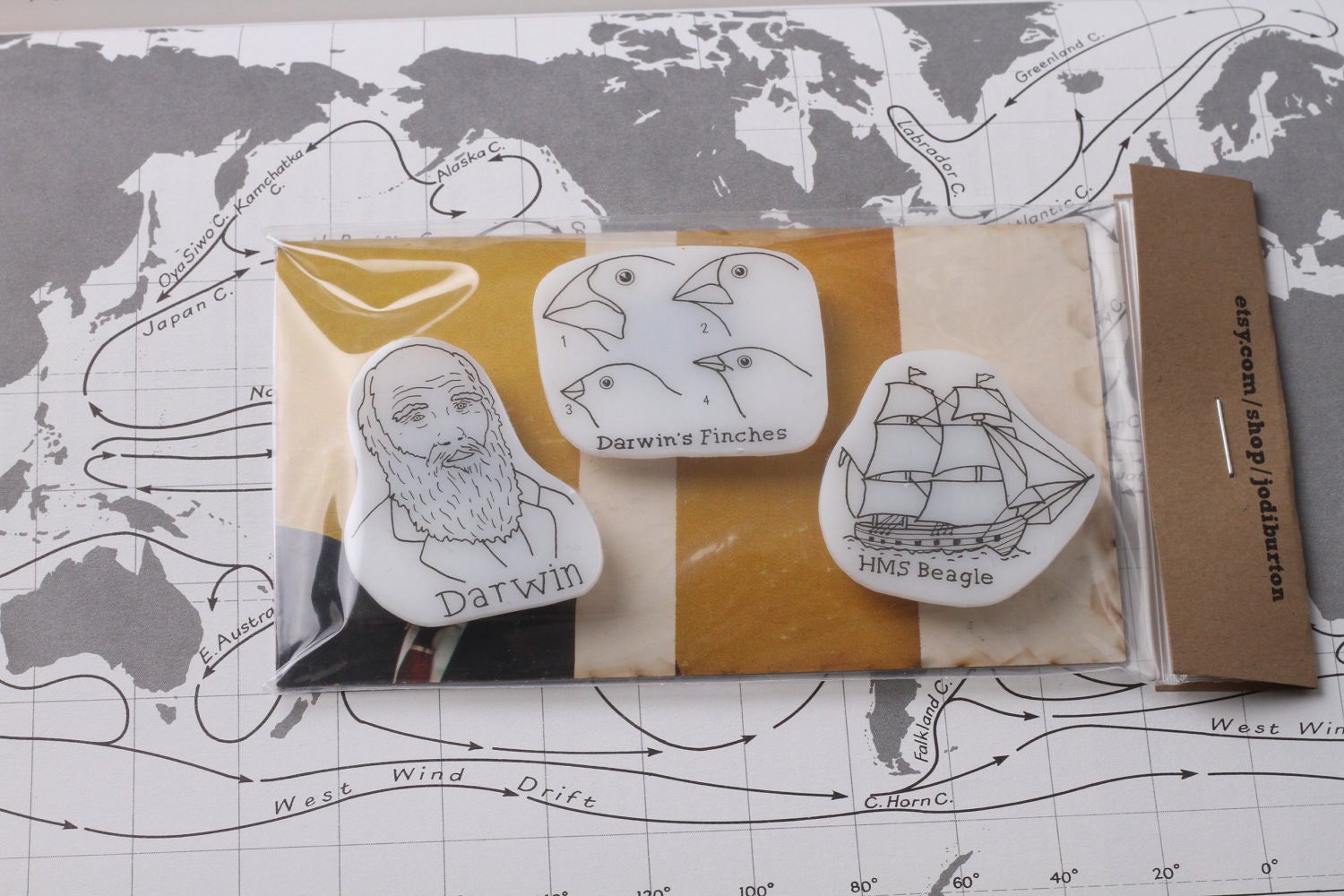 Darwin Magnet Set