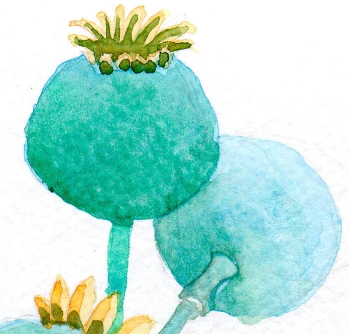 Poppy Pods, original watercolor