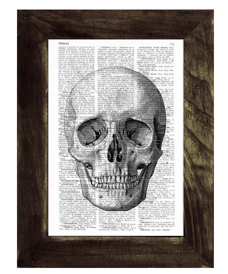 Skull print on a sheet from dictionary-simple skull book print