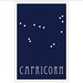 Capricorn Constellation Zodiac sign