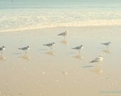 Beach Photo Seagulls Jersey shore ocean nursery home decor bedroom shabby cottage chic aqua turquoise sand wave 8 x 10