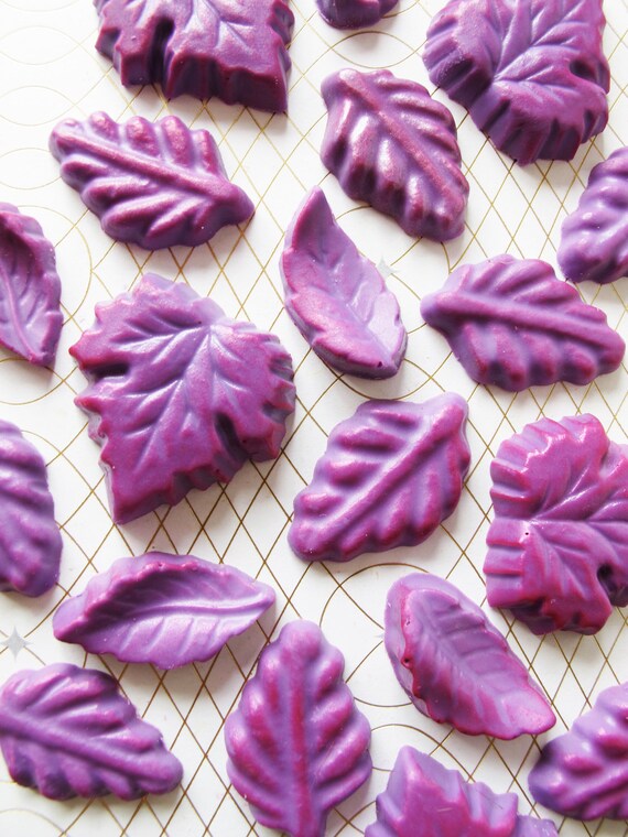 12 Chocolate Leaves: Violet Autumn Il_570xn