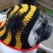 Dog Hat - Yoda / Made To Order
