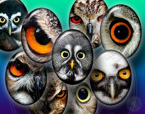 Owls - 2 Digital Collage Sheets CG-571 - for Scrapbooking, Resin and Glass Pendants
