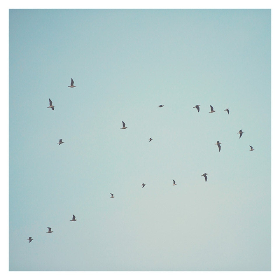 flying birds photo print - whimsical fine art nature photography, nursery wall art, mint, green, blue, wings, heart - 8x8 (set of 2)