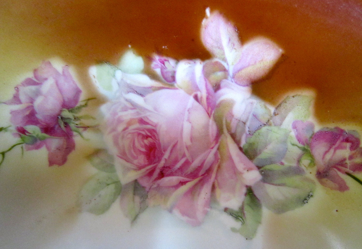 Pink Rose China -  A Perfect Berry Set