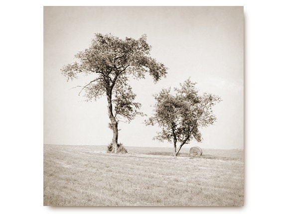 Black and White Landscape Photo, trees, hay roll, field, rustic landscape, farmhouse chic, home decor, 123team, sepia, brown, monotone