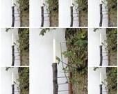 Natural Tree Limb Sconces - Set of Nine - MADE TO ORDER - Whimsical Natural, Rustic Lighting for Outdoor Events, Weddings, Parties, Porches