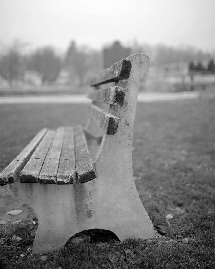 For A Minute - Park, Bench, Outdoors, Fine Art Black and White Photography 8 x 10 GIclee Print, Wall Art