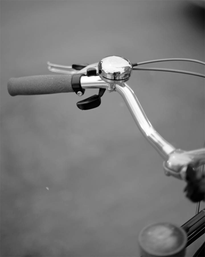 Self Portrait- Black, Bicycle, Vintage, Basket, Brown, Fine Art Photography 8 x 10, Giclee  Print / Home Decor, Wall Art