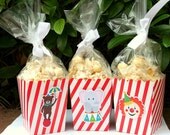 Circus Carnival Party Assorted Snack Boxes Favor Boxes- Set of 12