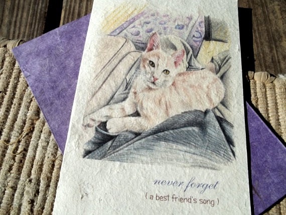 never forget ( a best friend's song ) cat love