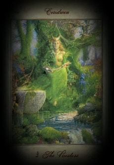 Pre Ritual tarot reading.  Pre spell working consultation for the wiccan practitioner. 25  years experience
