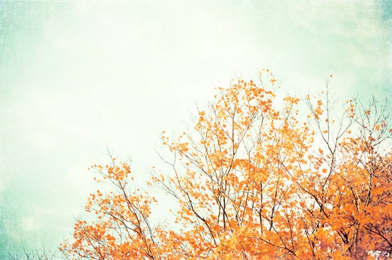 Autumn Photography - fall tree leaves - orange decor mint green blue teal - sky autumn photo fall wall art - 8x12 Photograph, "Autumn Song"