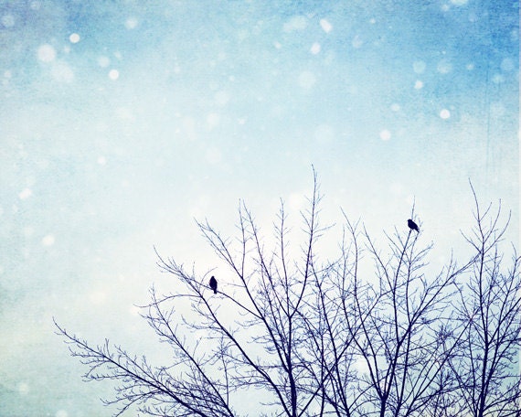 Blue Photography - birds tree light blue wall art pale snow white nature photo sky fine prints - 11x14, 8x10 Photograph, "First SnowFall"