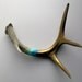 Gold, Turquoise, Aqua and Green Painted Chevron Antler - Medium